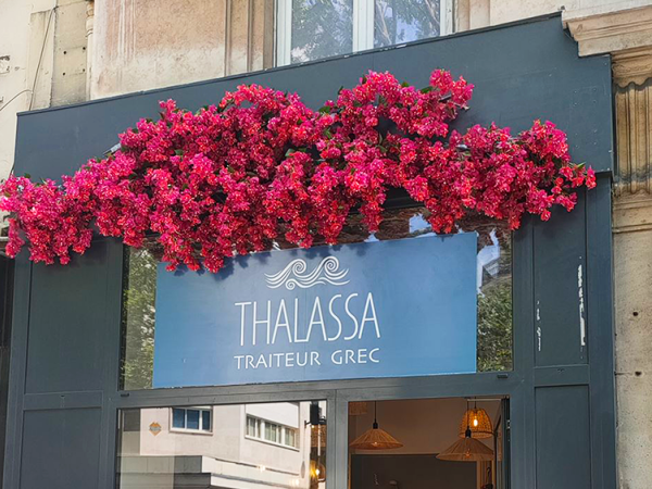 Thalassa Traiteur Grec à Paris 14